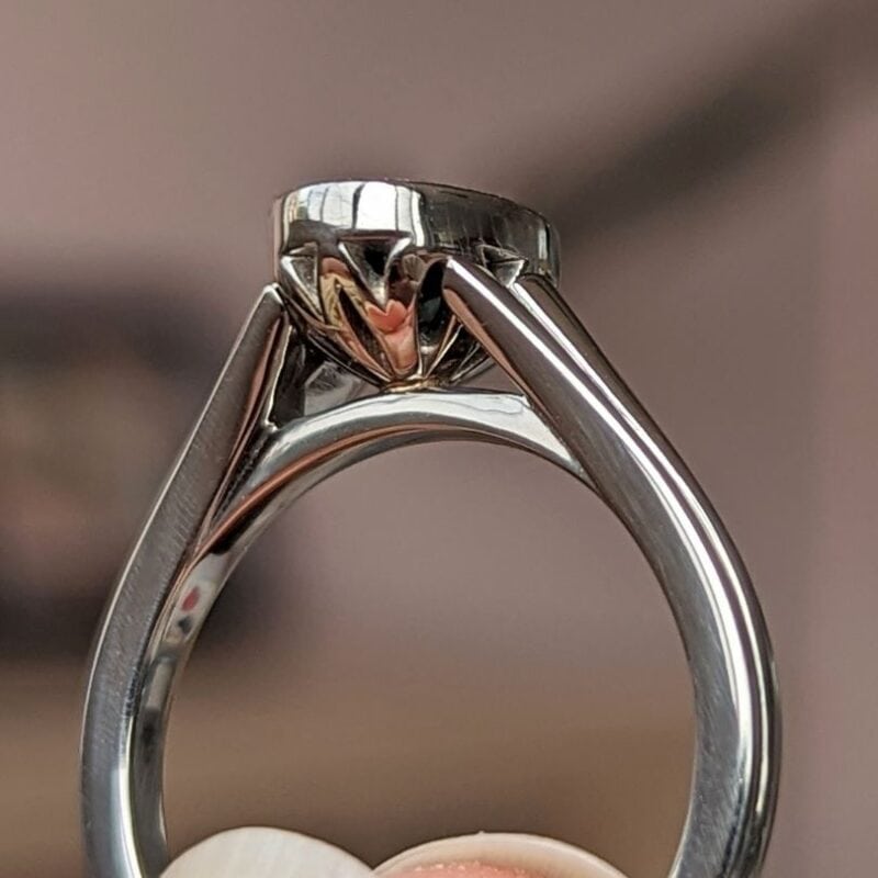 sinead engagement ring (ring rspca)